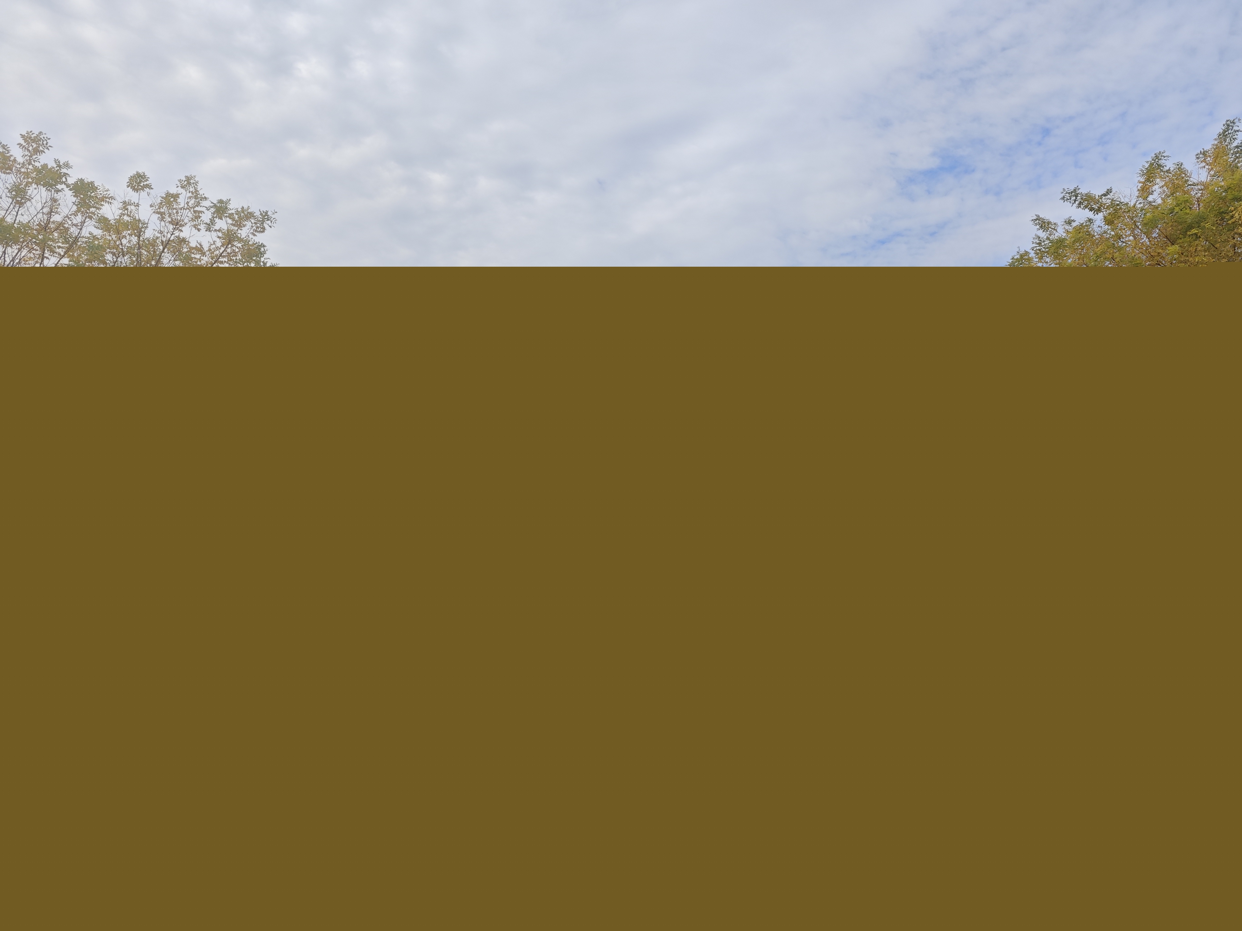 國(guó)家能源集團(tuán)卓越科技(山東)有限公司(1) 國(guó)家能源集團(tuán)卓越科技(山東)有限公司(1)